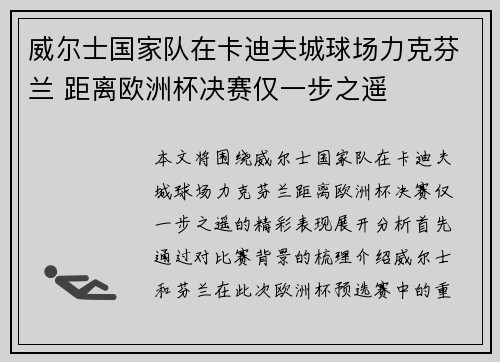 威尔士国家队在卡迪夫城球场力克芬兰 距离欧洲杯决赛仅一步之遥